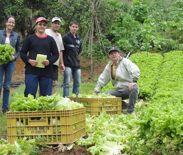 Programa AlimentarES